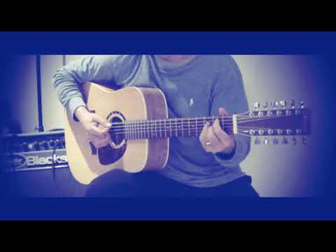 The Norman B20 12-string acoustic guitar - demo