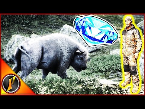 Beginner Series | First Diamond???