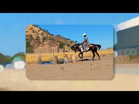 youtube preview