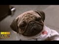 Men In Black - Conversation with Frank Scene (1080p) FULL HD