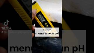 Download lagu 3 Cara Menurunkan pH Air Aqurium kamu! (Part 1) mp3 Download lagu 3 Cara Menurunkan pH Air Aqurium kamu! (Part 1) mp3