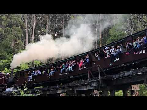 Puffing Billy Melbourne