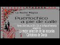 La Noche Mágica con Puertochico