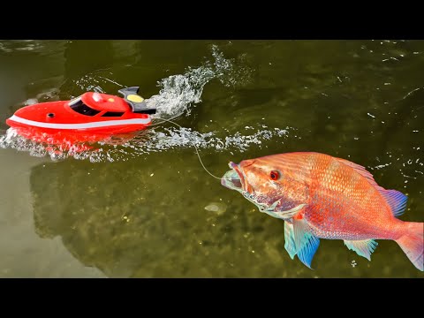 RC Boat Catches Dinner! (Peruvian ceviche recipe)