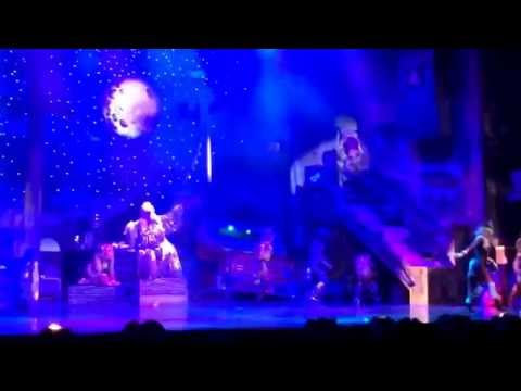 Mirringo El Gato Express CATS MÉXICO skimbleshanks the railway Cat! Dante Hernández