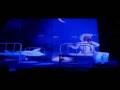 Pet Shop Boys - Your Funny Uncle/Cast [Live - Performance]