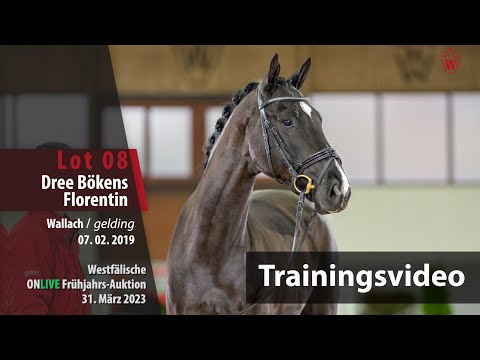 ONLIVE Frühjahrs-Auktion Training Lot8 Dree Bökens Florentin Wallach v.Fashion in BlackNRW-DamonHill