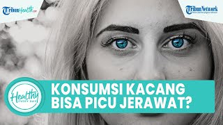 Benarkah Konsumsi Kacang Bisa Picu Jerawat di Kulit? Ini Kandungan & Penyebab yang Kerap Diabaikan