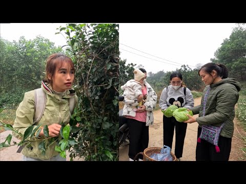 The woman wanders and her journey from the vegetable garden to the front door. Ly Vy Ca 