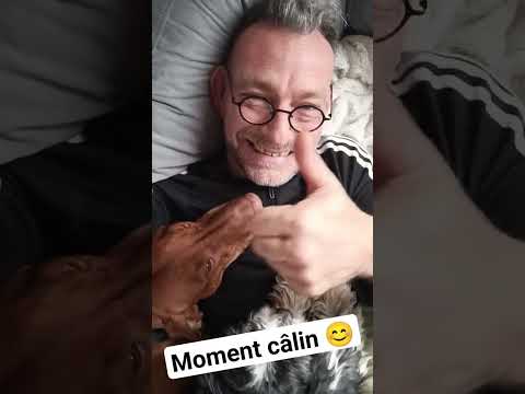 #dog #dogs #lovedogs #vizsla #developpementpersonnel #tips #lifestyle #coach #carpediem #confiance