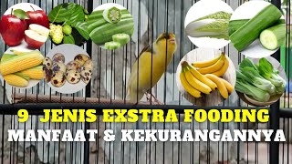 Download lagu 9 jenis extra fooding Burung Kenari berdasarkan manfaat dan kekurangannya, jangan salah pilih! mp3 Download lagu 9 jenis extra fooding Burung Kenari berdasarkan manfaat dan kekurangannya, jangan salah pilih! mp3