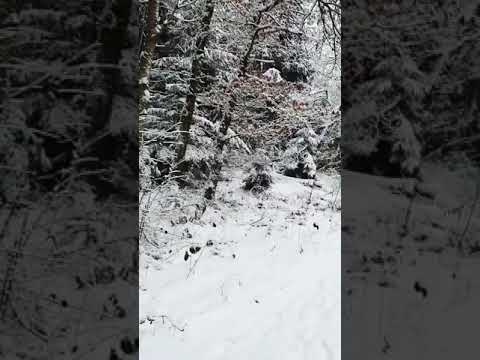 Ausflug in den Schnee und mein Plan 2021