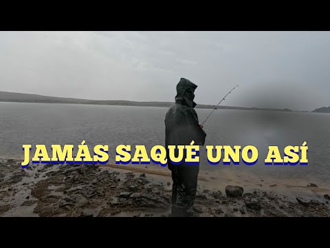 Bajo lluvia intensa en el río Negro... pasó esto
