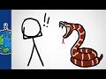 Why Are Snakes So Creepy