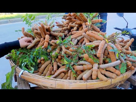 Cambodian Wet Market In Phnom Penh - Phoum Russey And Beong Trabaek Market