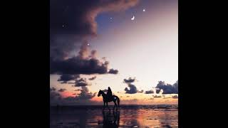 Download lagu Story 30 detik | story literasi | story wa | story' mp3