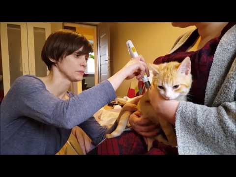 Proces Amber Gold, bitwa o stadion, rehabilitacja kota | ESKA INFO #12