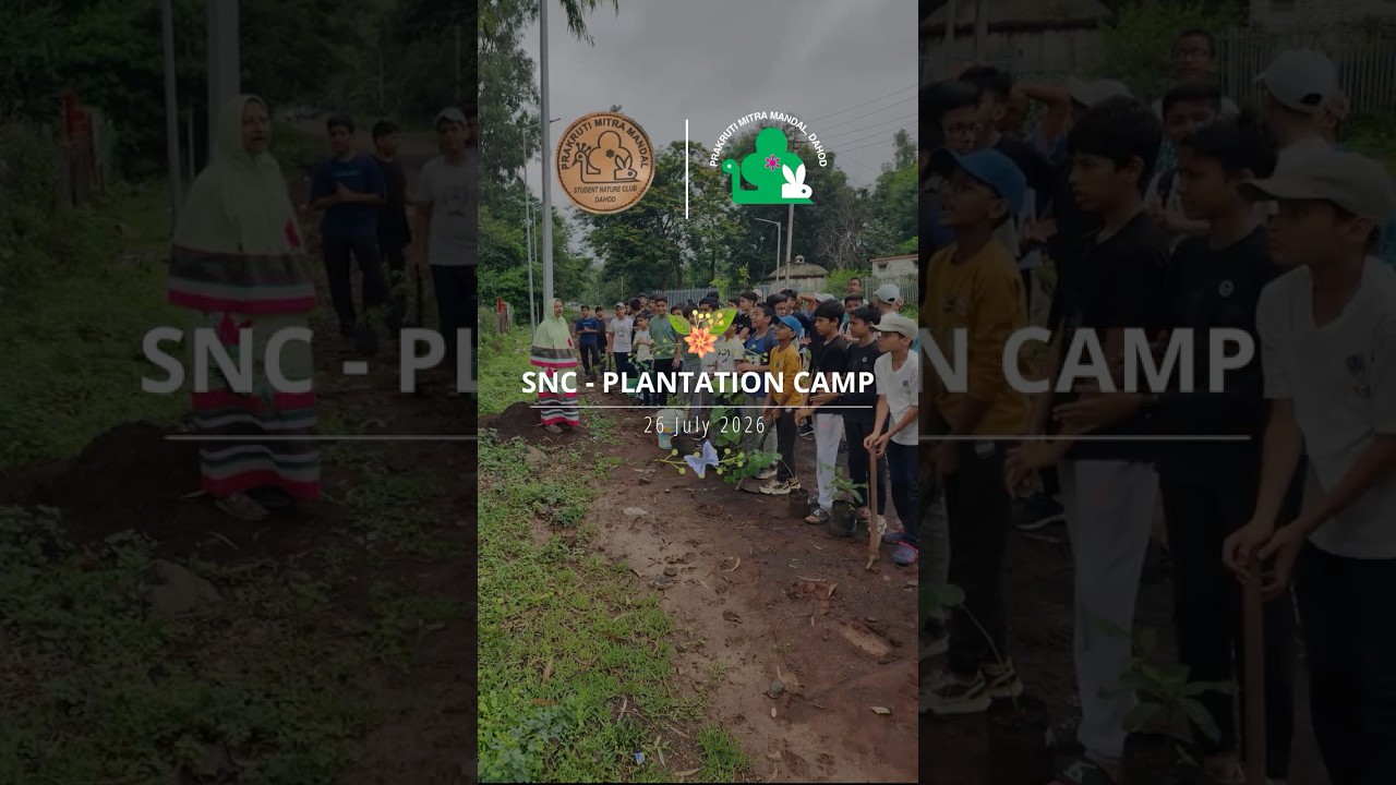 Plantation Drive - SNC — video thumbnail