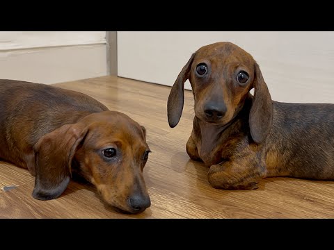 YouTube 썸네일