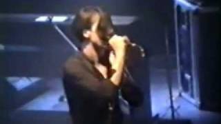 Suede Live Clapham Grand 1993 - To the birds and Animal Nitrate