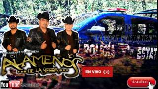 La Gran Pachanga (En Vivo) Lyrics English Translation