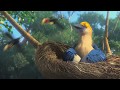 Rio - The Jungle Jig (Angry Birds) 