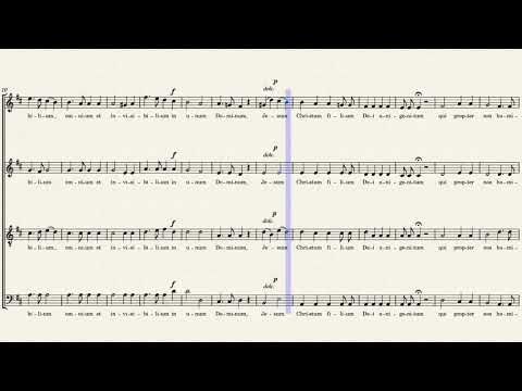 Messe op. 2 by Carl Attenhofer, Opus 2