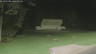 Lithia Park Bandshell live webcam