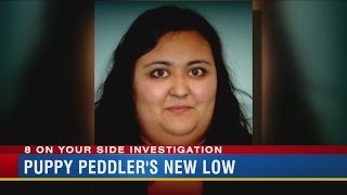Craigslist parvo puppy peddler fakes suicide to deceive angry customers