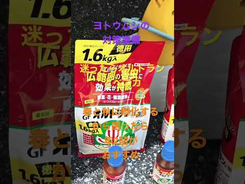 庭の幼虫を駆除するにはどうすればよいですか？何が彼らを惹きつけるのでしょうか？  庭園
