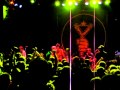 Gogol Bordello - Sacred Darling @ The Vogue 11-2-10