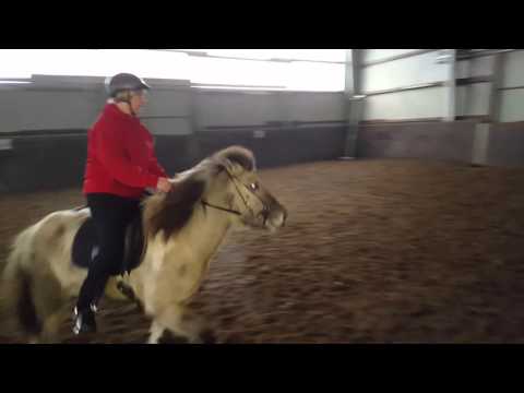 1. Mal Reiten mit Lína in der Halle  24. 01. 2016