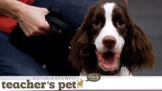 Loose-Leash Walking Inside | Teacher's Pet With Victoria Stilwell