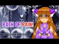 Beating The Path Of Pain Cost Me My Sanity Hollow Knight
