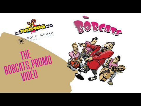 The Bobcats 1950's UK Rockband. 2023 promo video.