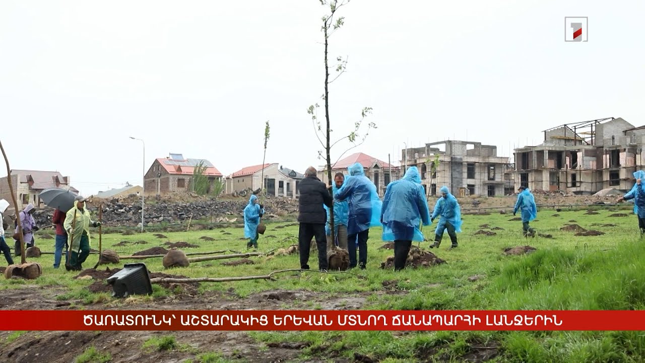 Ծառատունկ՝ Աշտարակից Երևան մտնող ճանապարհի լանջերին