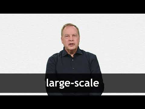 LARGE-SCALE definition in American English