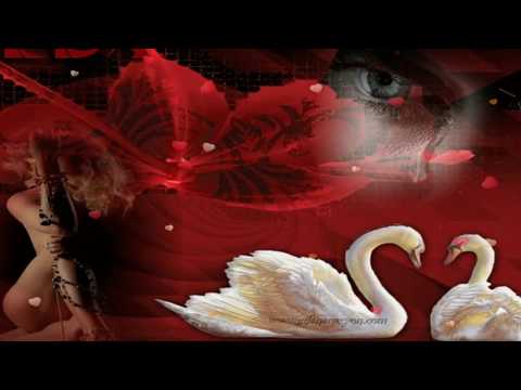 🌹💝🌹 Einmal Kommt Auch Fûr Dich Der Tag - Frans Bauer🌹💝🌹