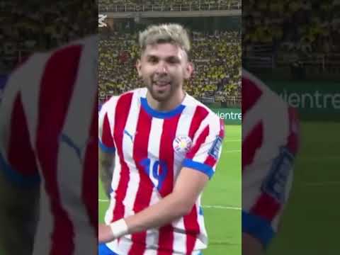 otorrinolaringologo, oso, cebra leon