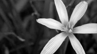 In My Heart - My Favorite Highway (w/ lyrics onscreen)