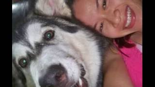 Video preview image #1  Breeder Profile in SMYRNA, NY, USA