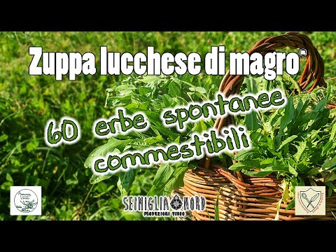 Acquistare ALMAG per il trattamento della malattia degenerativa del disco Trattamento popolare di artrosi deformante