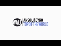 Ansol & Dyro - Top Of The World (Original Mix ...