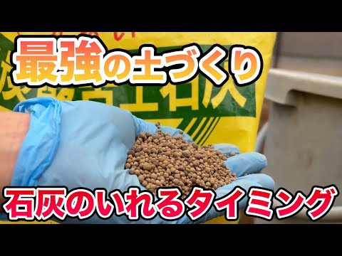 【最強の土づくり】どの石灰をいれるか？その最適なタイミングとは？