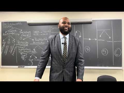 Anatomy and Physiology: The Endocrine System Part III