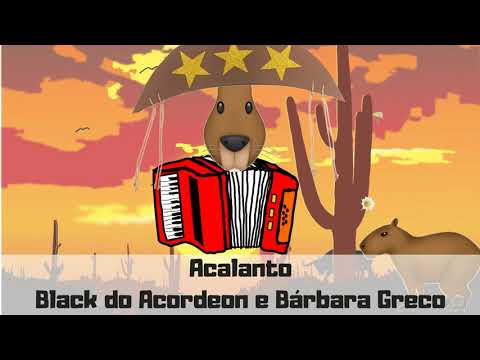 Acalanto   Black do Acordeon e Bárbara Greco   Forró da Capivara