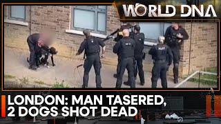 London: Police point guns and shoot two dogs dead in front of screaming public | Details | World DNA