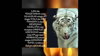 Download lagu Story WA Harimau Sunda Putih 16 detik (MaungBodas) mp3