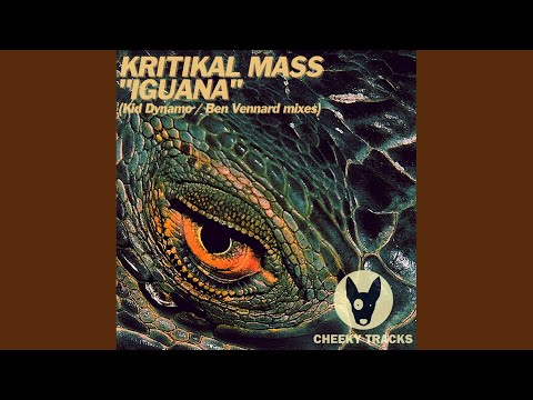 Iguana (Kid Dynamo Radio Edit)