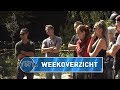 Weekoverzicht: week 36! | UTOPIA